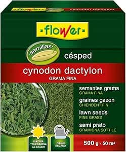 Flower - Semillas Cynodon Dactilon 500g | Grama Fina para 50m2 | Máxima Tolerancia al Calor | Riego Escaso, Tamaño 14.4x6x16 cm, Material Semilla