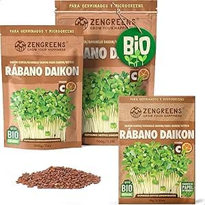 ZenGreens® - Semillas de rábano daikon ecológico - Elija entre 10g, 200g y 500g - brotes de rábano daikon - germinación de más del 97% - Microgreens